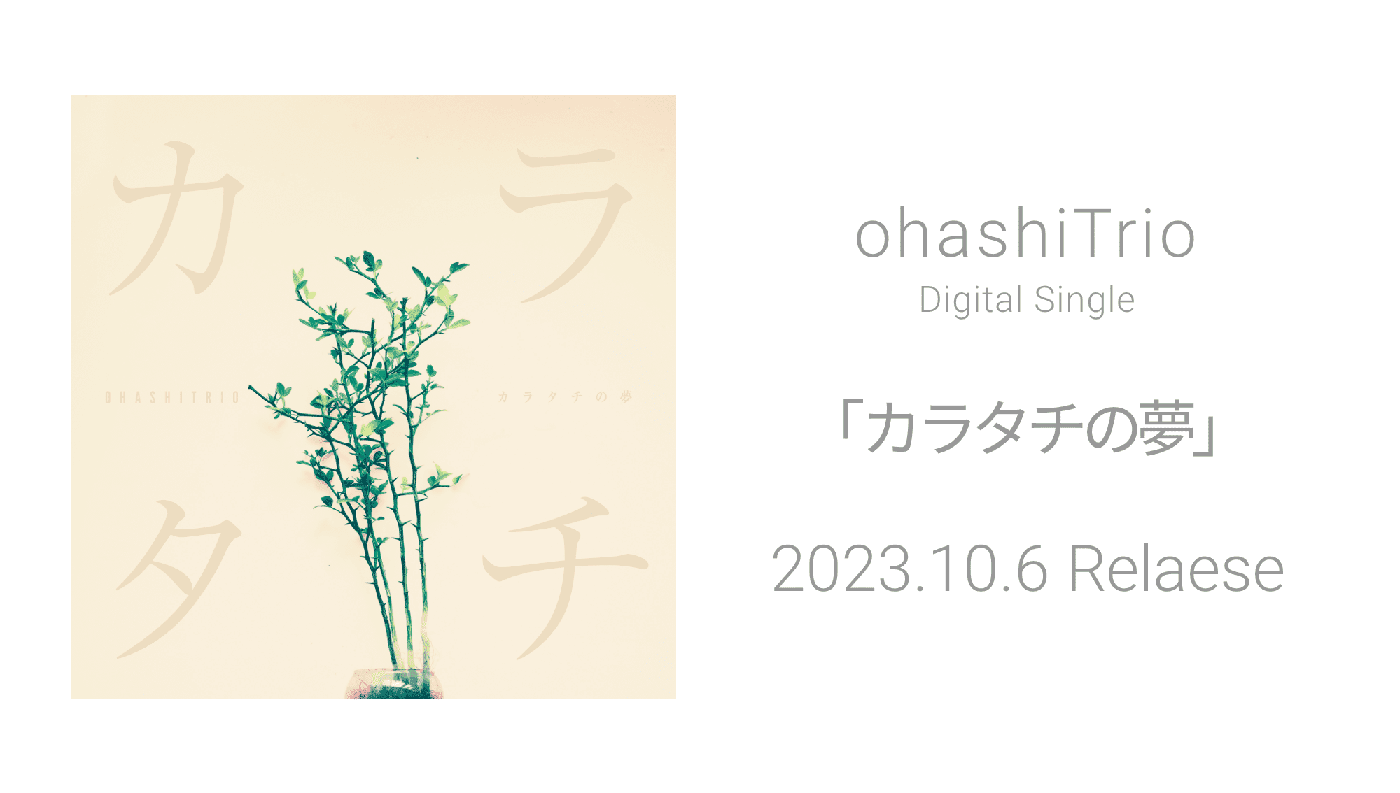 大橋トリオ ohashiTrio Official Website